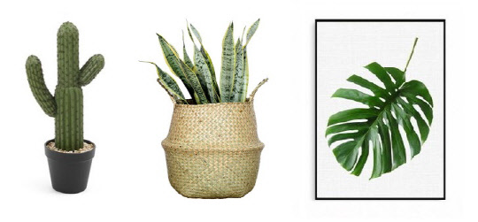 옥션에서 판매하는 식물 <옥션 제공>